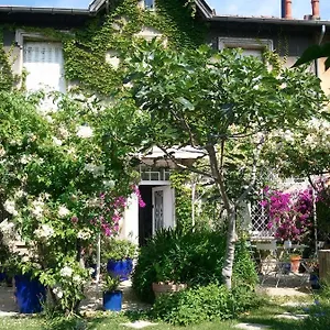 Les Petits Poissons , Avignon France